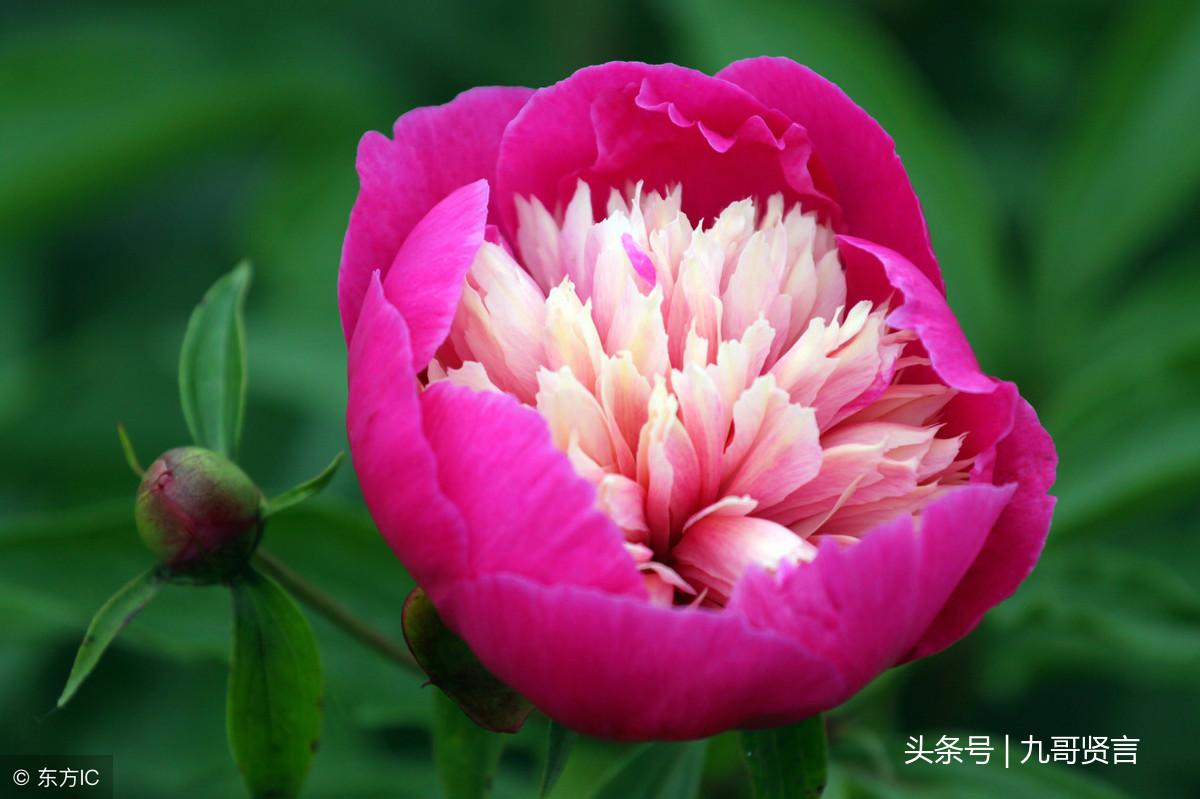 品行修养 格言，中国名言名句(图1)