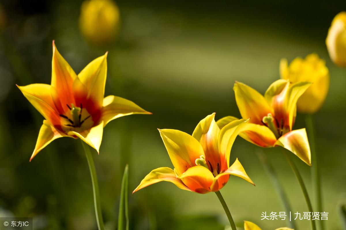 品行修养 格言，中国名言名句(图2)