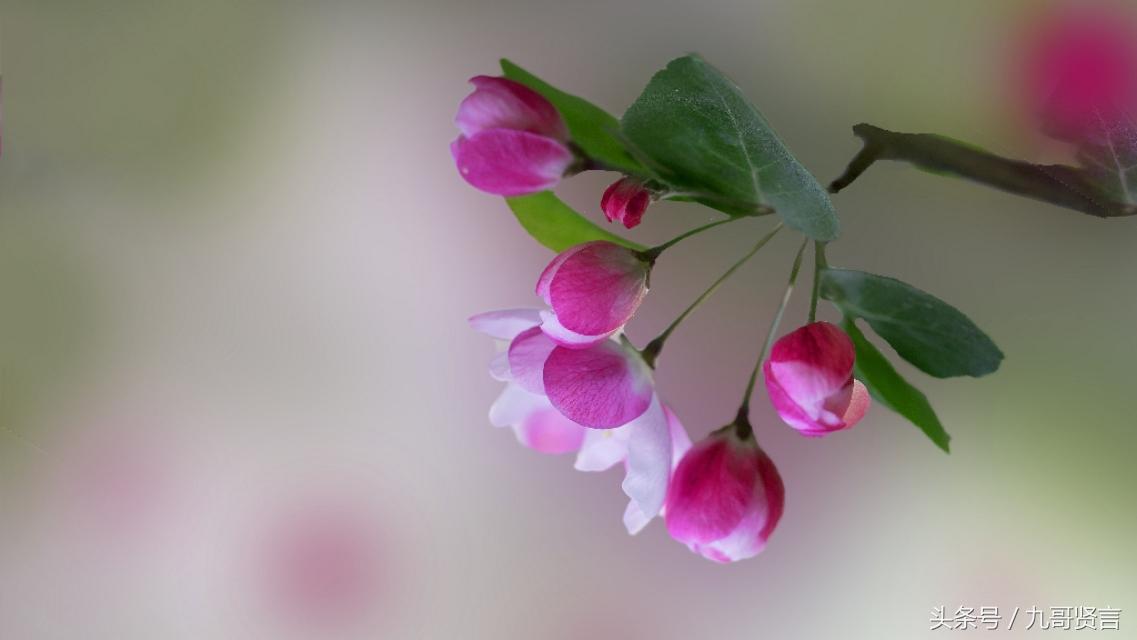 中国名人名言 品行修养类 格言(图1)