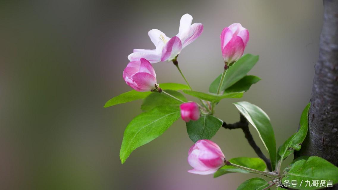 中国名人名言 品行修养类 格言(图3)