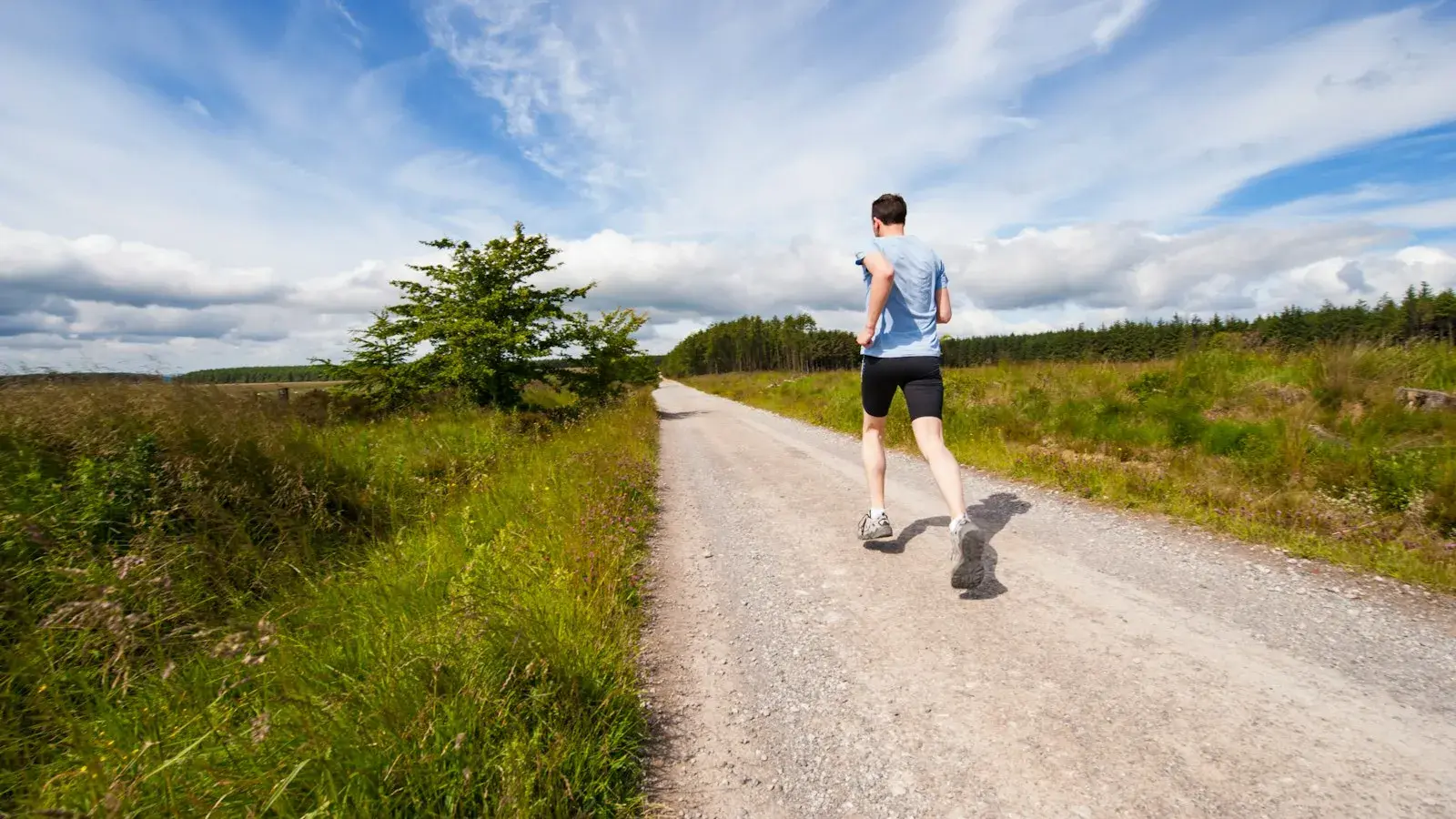 【燃情的体育精神】运动的力量，释放内心的激情(图2)