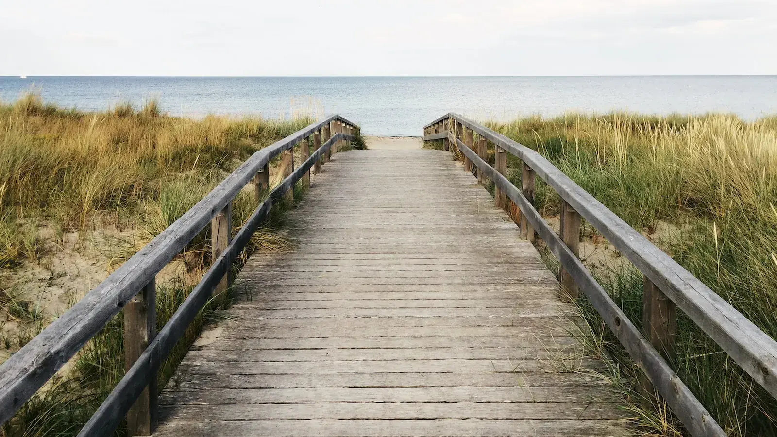 【燃情的体育精神】运动的力量，释放内心的激情(图3)