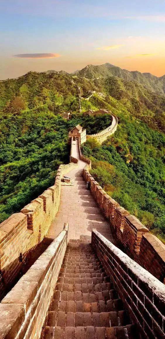 夏花生香，鲜花浪漫，五彩缤纷，姹紫嫣红，花美心儿甜(图19)