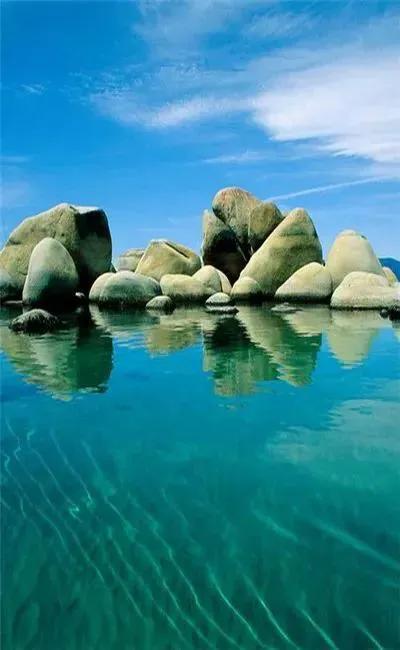 夏花生香，鲜花浪漫，五彩缤纷，姹紫嫣红，花美心儿甜(图21)