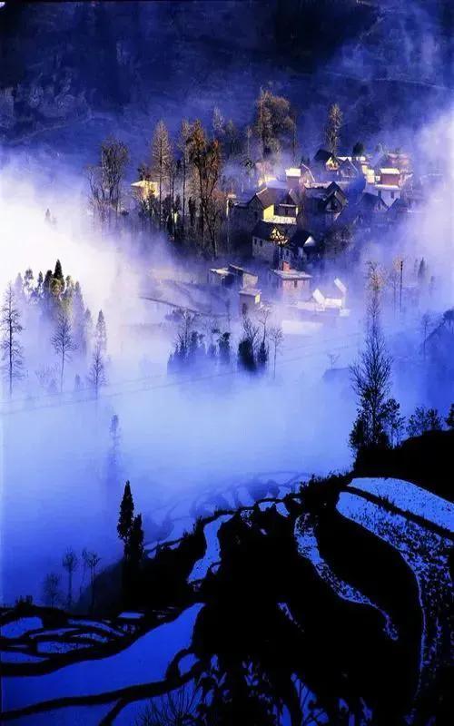 夏花生香，鲜花浪漫，五彩缤纷，姹紫嫣红，花美心儿甜(图22)