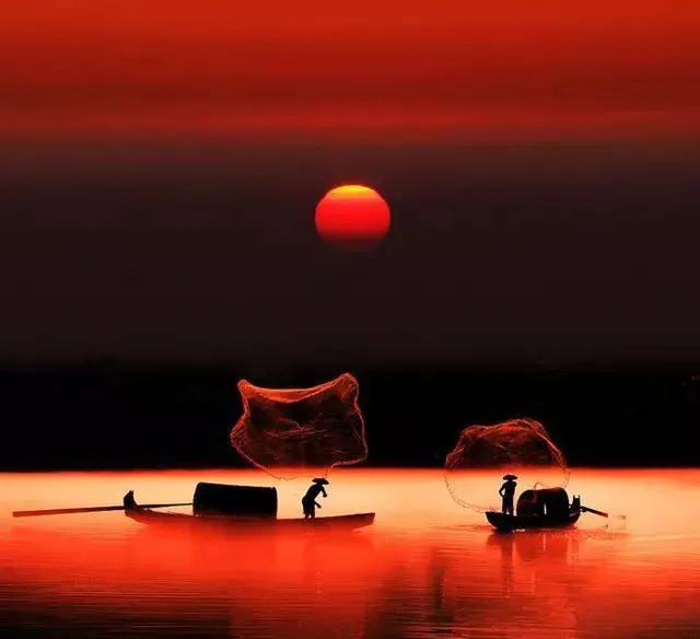 夏花生香，鲜花浪漫，五彩缤纷，姹紫嫣红，花美心儿甜(图24)