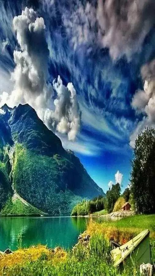 夏花生香，鲜花浪漫，五彩缤纷，姹紫嫣红，花美心儿甜(图25)