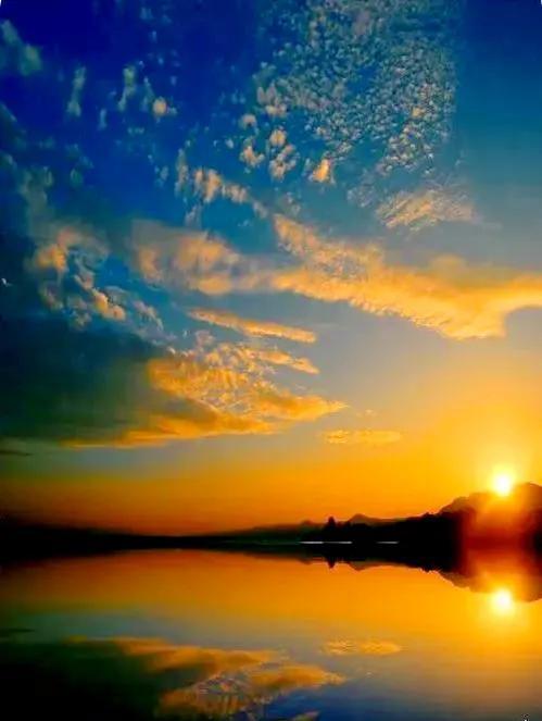 夏花生香，鲜花浪漫，五彩缤纷，姹紫嫣红，花美心儿甜(图27)