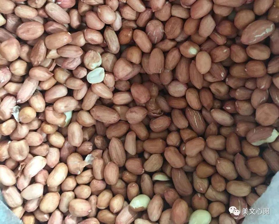 美文心阅：花生(图4)