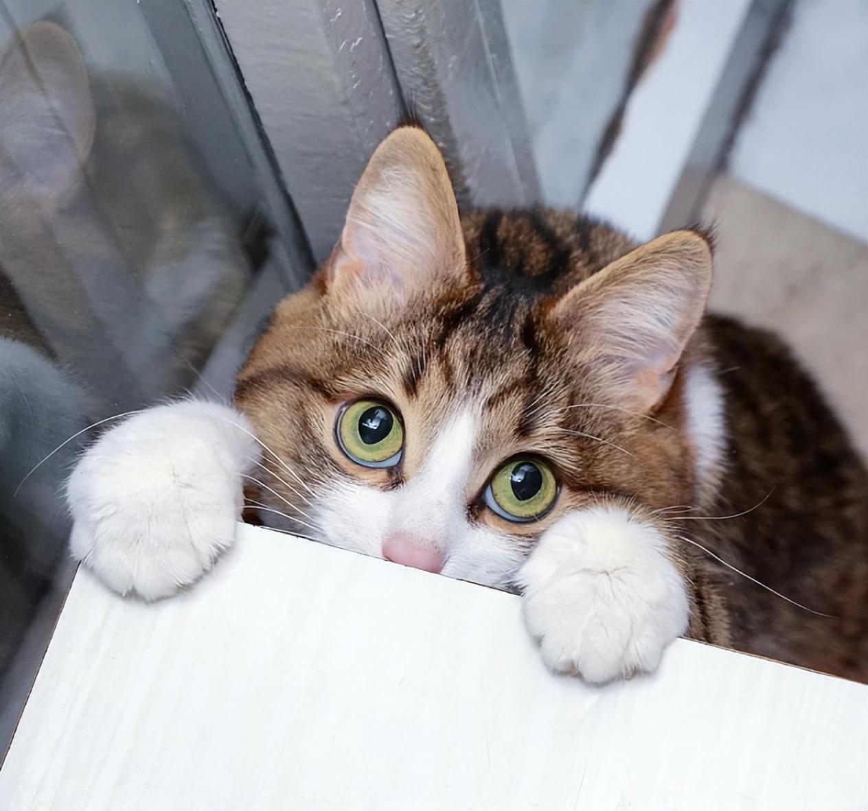 搞笑的朋友圈文案(图7)