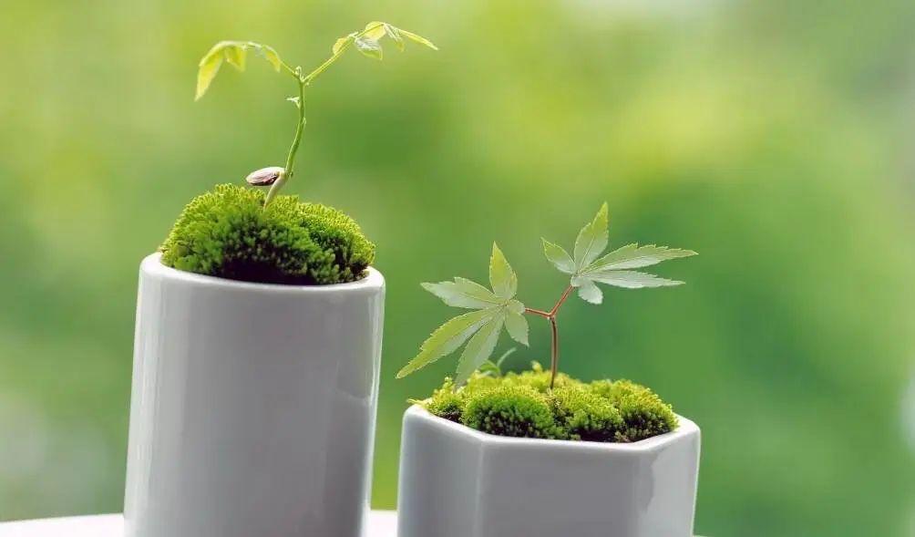 这30句幽默犀利的话，字字人间清醒，让你过目不忘！(图7)