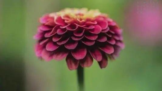 这30句幽默犀利的话，字字人间清醒，让你过目不忘！(图8)