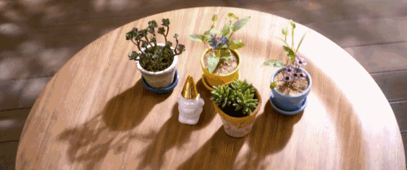 12个幽默小短句，哈哈一笑，烦恼全无(图2)