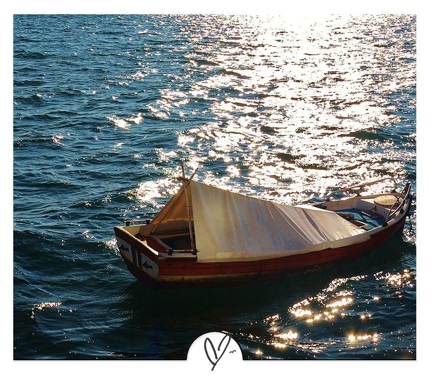 20条幽默小短句，读完一遍，烦恼全没(图3)