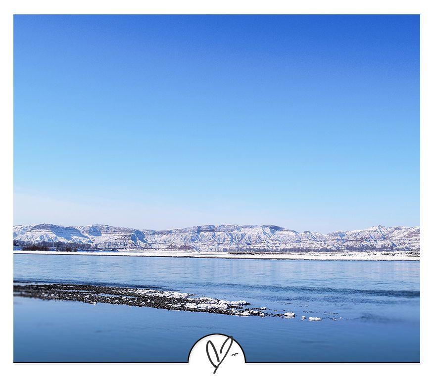 20条幽默小短句，读完一遍，烦恼全没(图4)