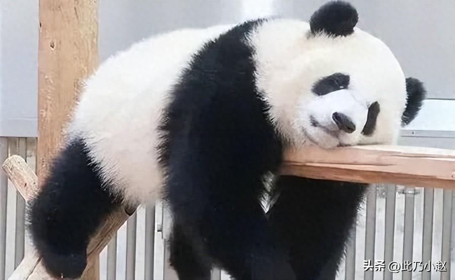 【句句不提累 但句句都是累 】的情绪文案句子(图1)