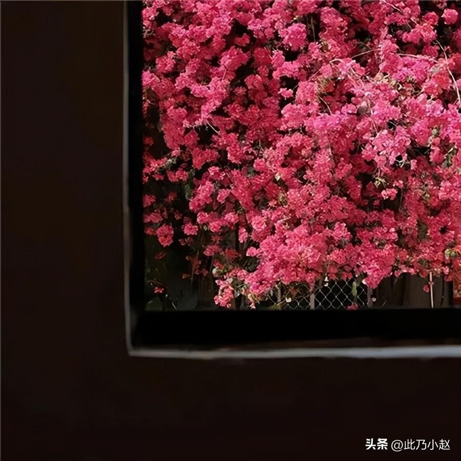 【句句不提累 但句句都是累 】的情绪文案句子(图4)