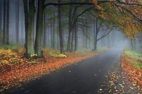 敢于尝试，take it easy to try(图1)