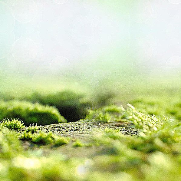 10个句子，让你拥有一个可爱有趣的灵魂（一）(图2)