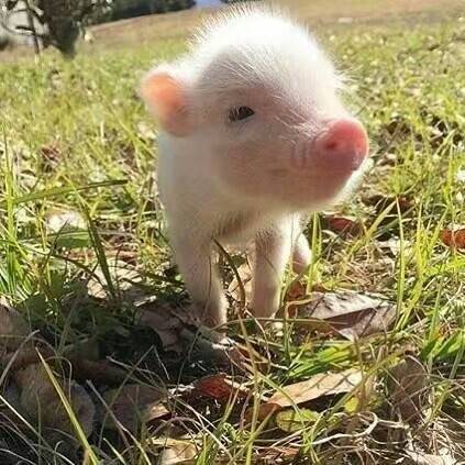 10个句子，让你拥有一个可爱有趣的灵魂（一）(图3)