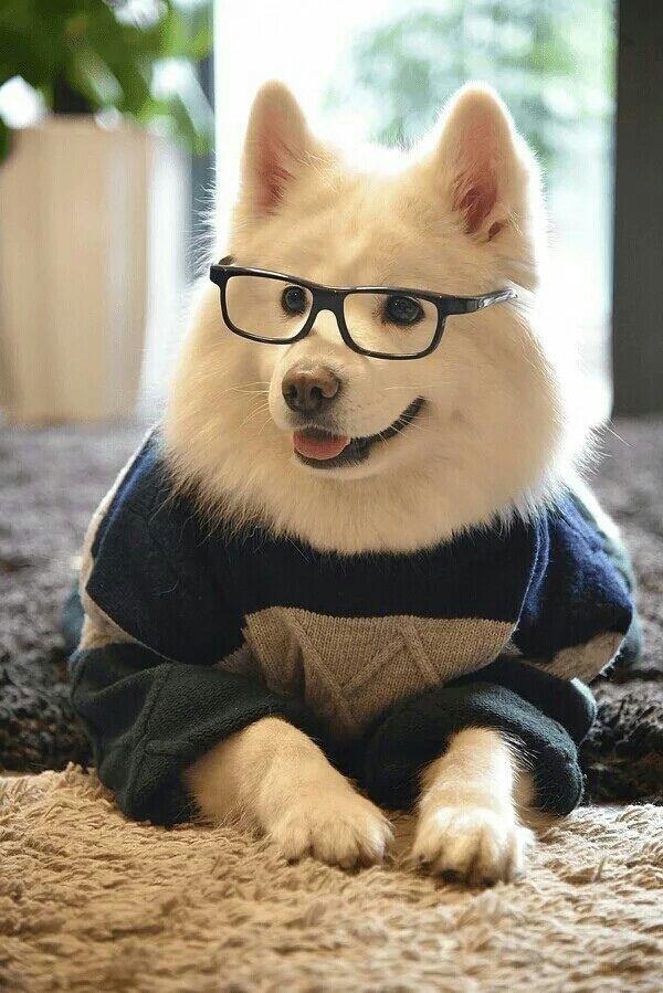 10个句子，让你拥有一个可爱有趣的灵魂（一）(图4)