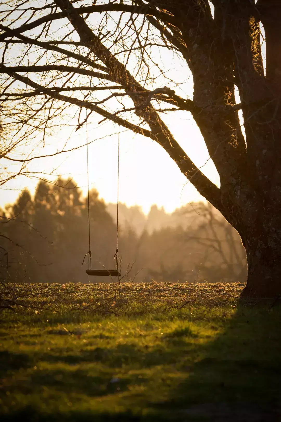 有趣的灵魂，万里挑一(图21)