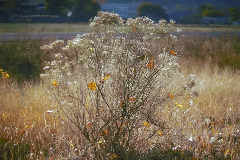 有趣的灵魂，万里挑一(图22)