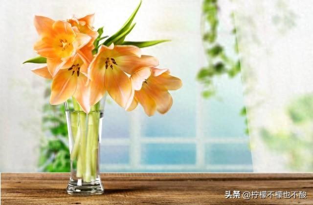 真诚相待：建立信任与友谊的经典语录(图1)