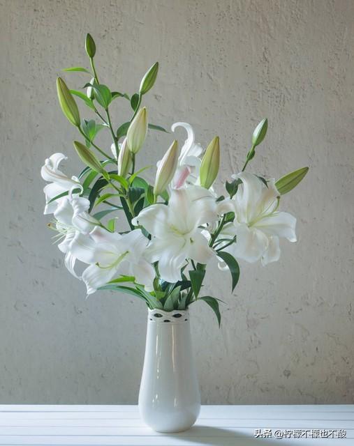 真诚相待：建立信任与友谊的经典语录(图2)