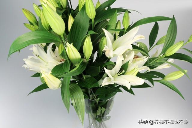 真诚相待：建立信任与友谊的经典语录(图3)