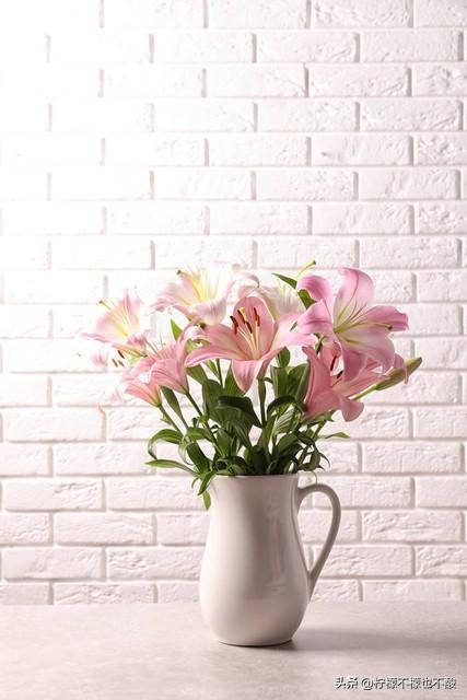 真诚相待：建立信任与友谊的经典语录(图4)