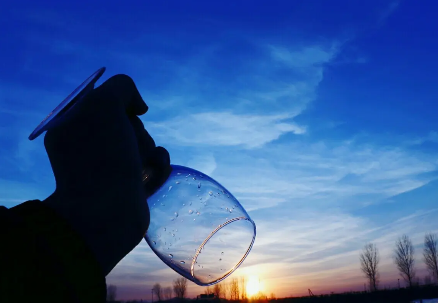 经典的15句祝酒诗词，“酒”“诗”相逢，精彩无限，适合酒桌上说(图16)