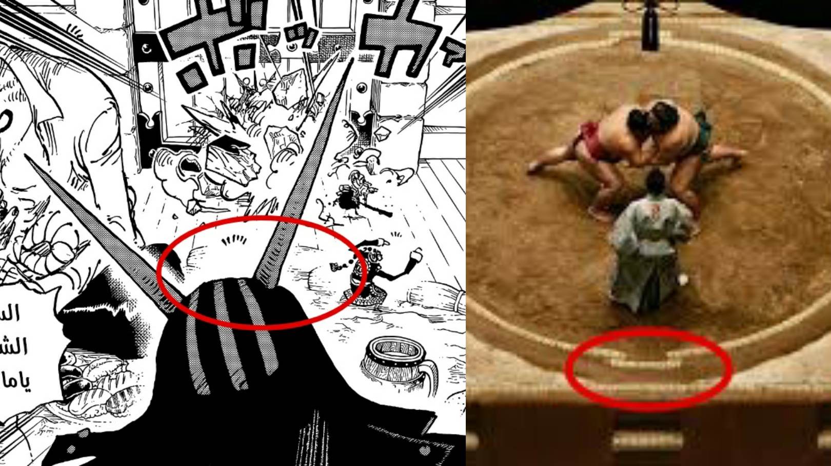 海贼王1031话《科学战士》单话分析及考据解读(图28)