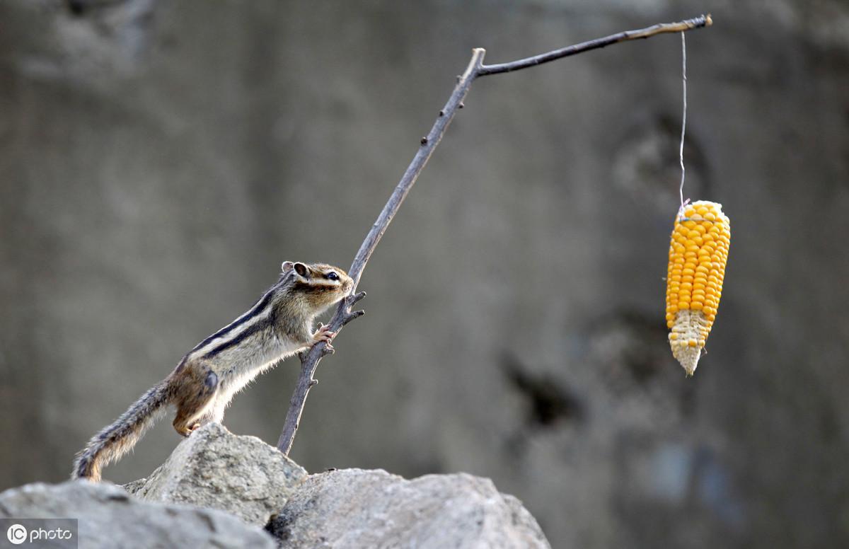 24条发朋友圈的经典毒鸡汤，简短精辟，句句扎心(图2)