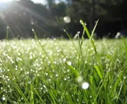 美文：四季的雨(图3)