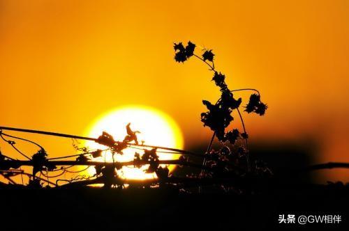 关于热爱生命的名言(图2)