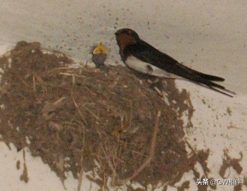 关于热爱生命的名言(图3)