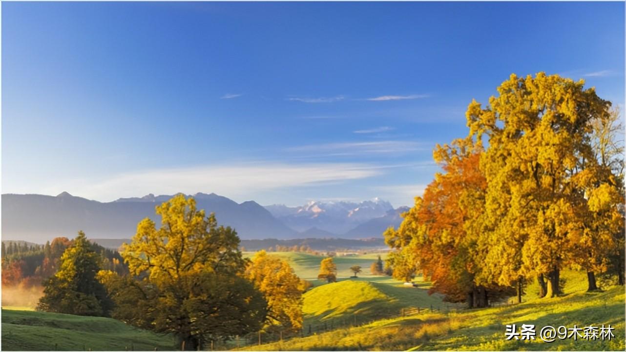 人生就要越挫越勇，成功就在前行中(图1)