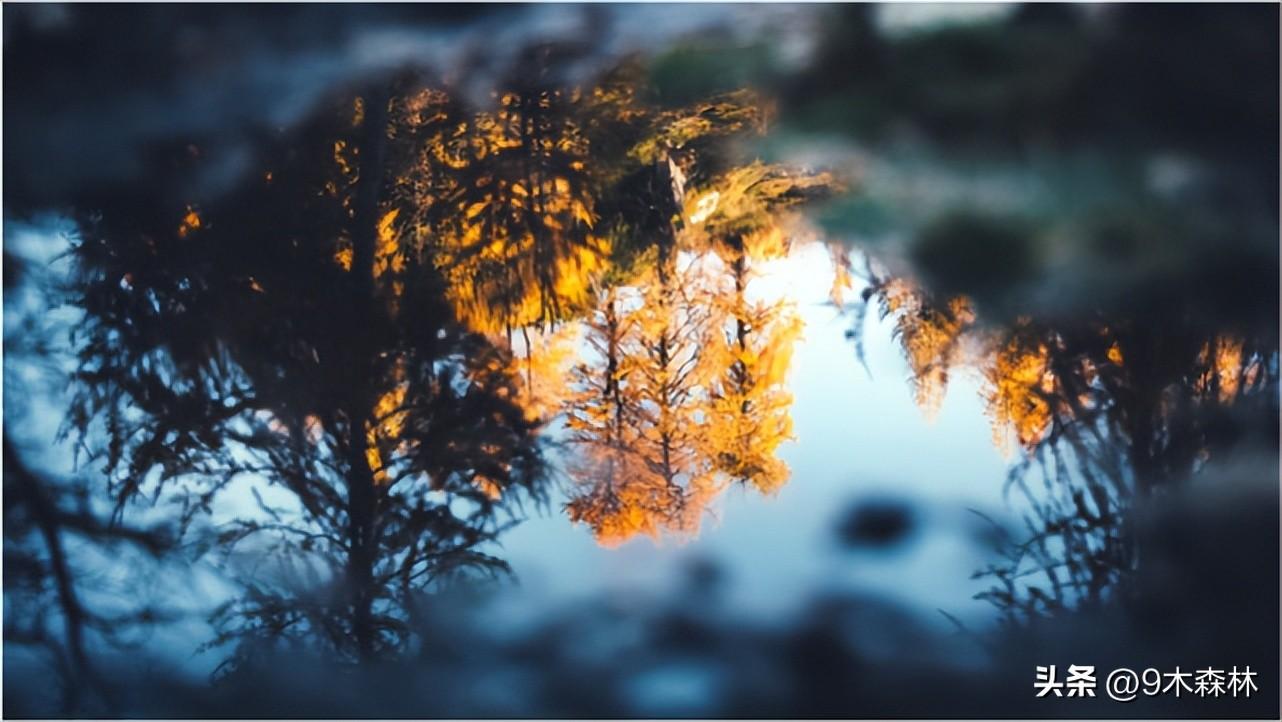 人生就要越挫越勇，成功就在前行中(图2)