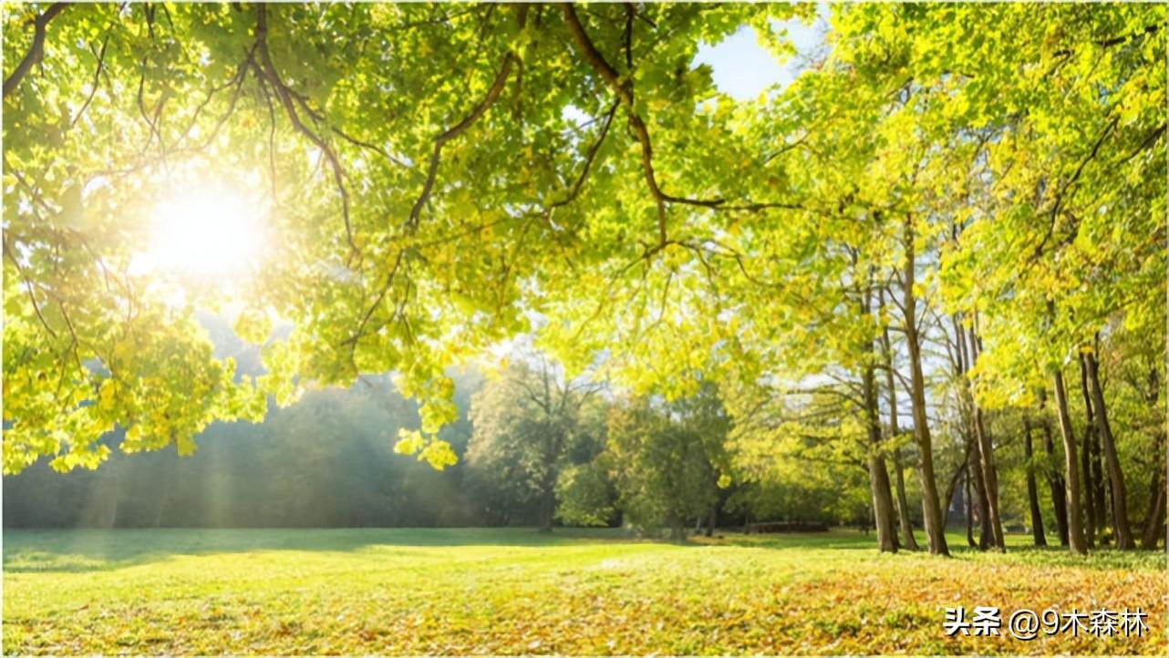 人生就要越挫越勇，成功就在前行中(图3)