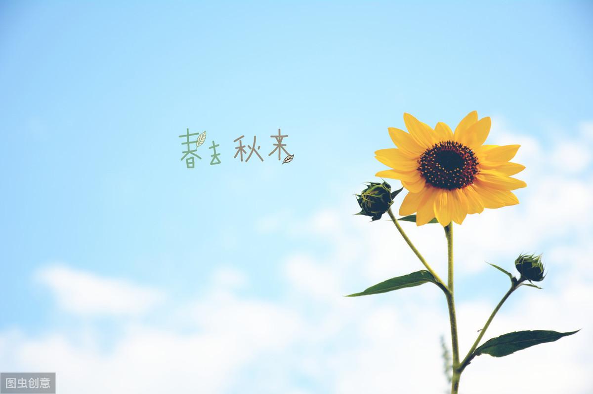 20个伤感爱情句子：一删微信，便是永别，愿你天黑有灯，下雨有伞(图1)