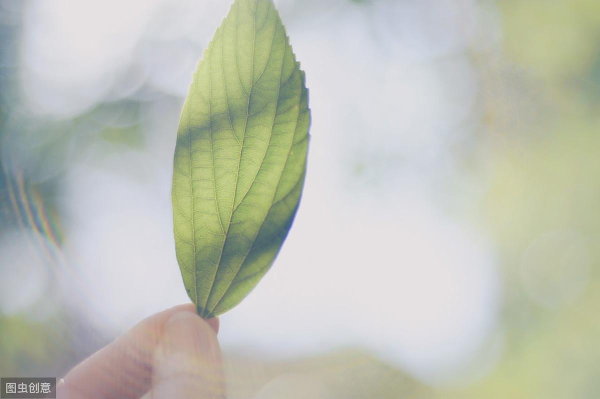 20个伤感爱情句子：一删微信，便是永别，愿你天黑有灯，下雨有伞(图2)