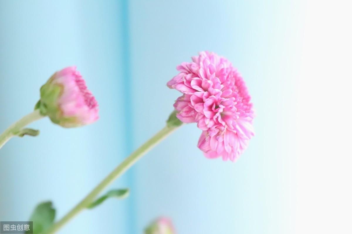 20个伤感爱情句子：一删微信，便是永别，愿你天黑有灯，下雨有伞(图5)