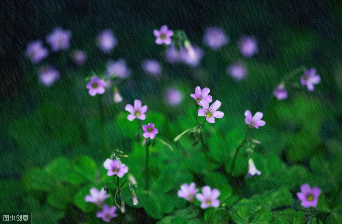 20个伤感爱情句子：一删微信，便是永别，愿你天黑有灯，下雨有伞(图6)