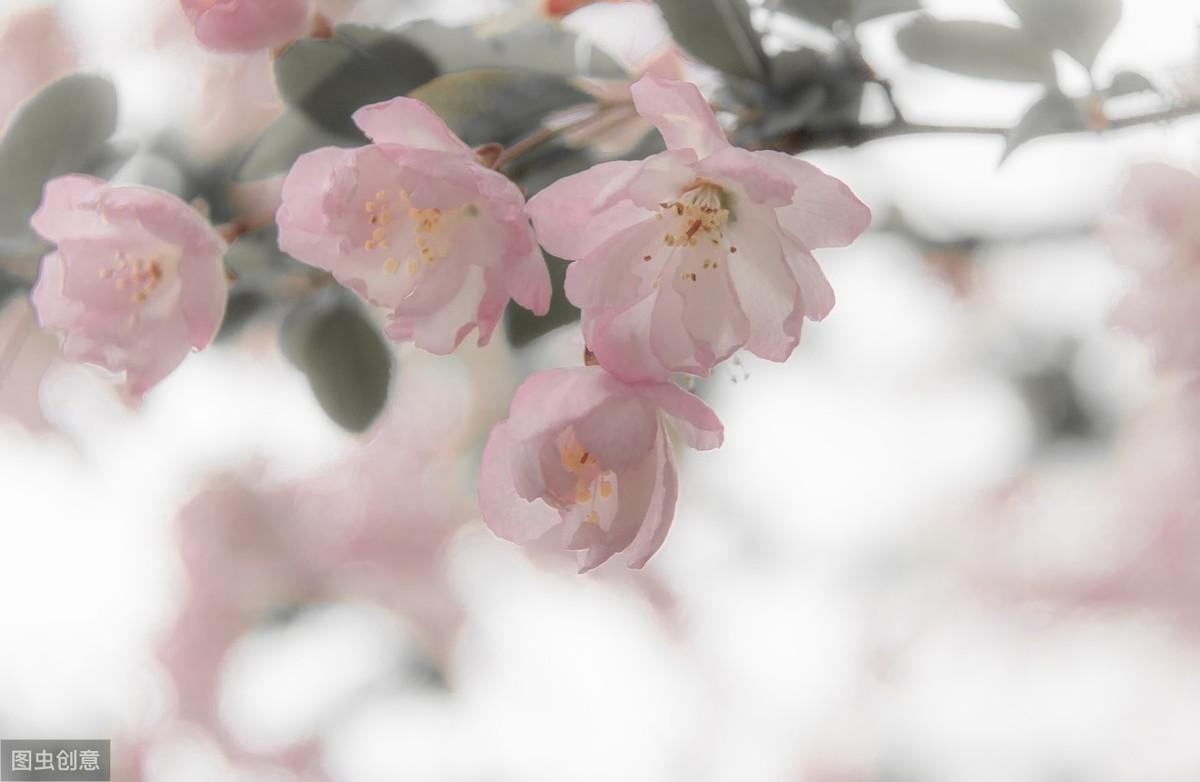 20个伤感爱情句子：一删微信，便是永别，愿你天黑有灯，下雨有伞(图7)