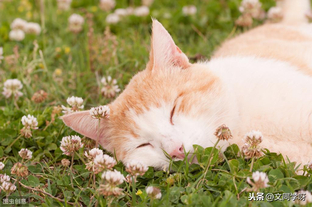 你一定要走，走到灯火通明，那些一看到就想跳起来学习的励志的话(图10)