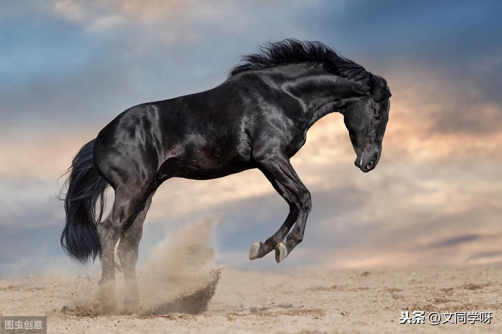 你一定要走，走到灯火通明，那些一看到就想跳起来学习的励志的话(图14)