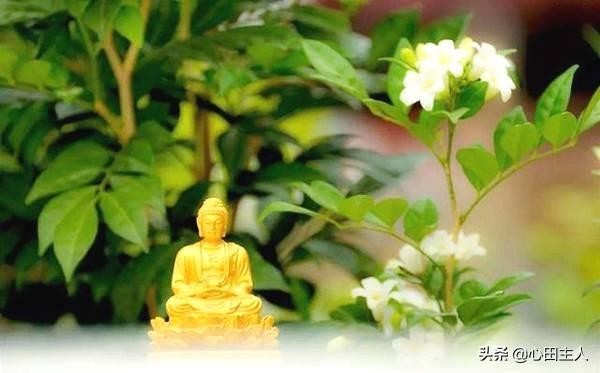 勿以嗜欲杀身，勿以财货杀子孙(图1)