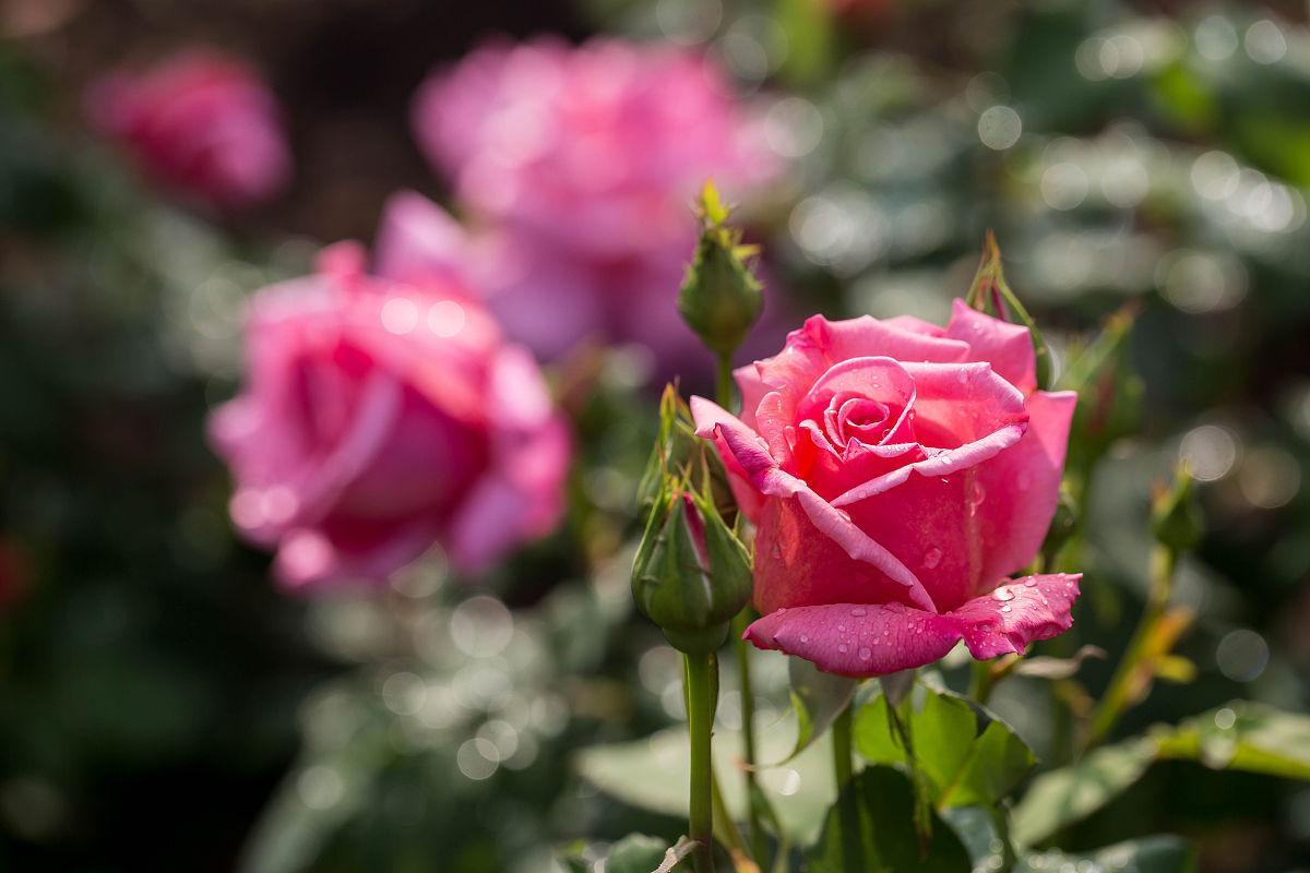 2022这一年，写一段话，送给辛苦的自己！(图1)