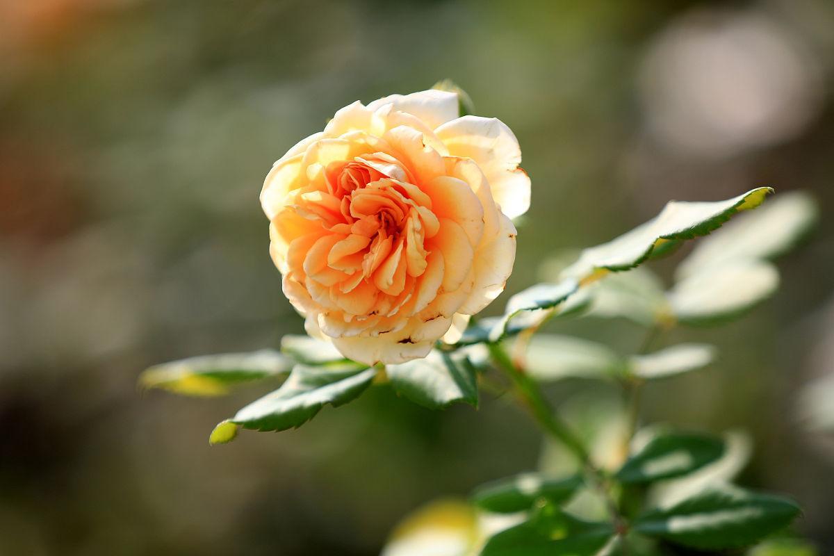 2022这一年，写一段话，送给辛苦的自己！(图3)